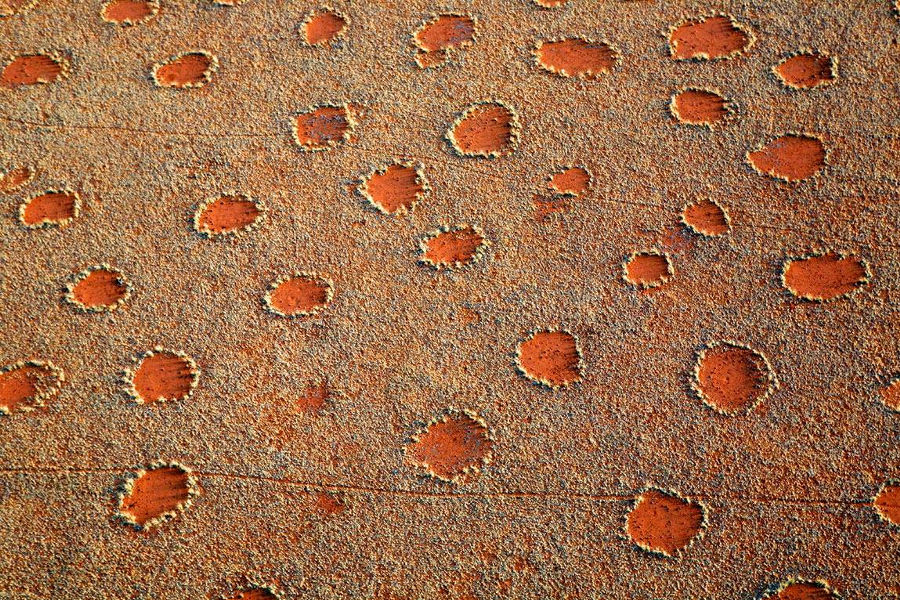 Fairy Circles of Namibia. Overhead view of a lot of circles