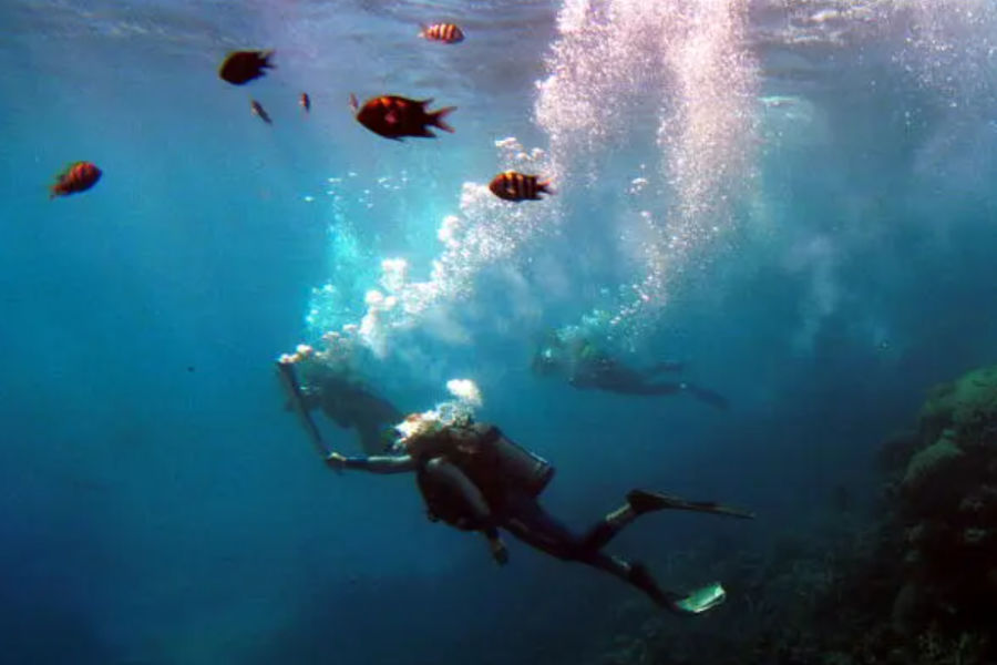 Olympic Torch underwater, fish floating near by