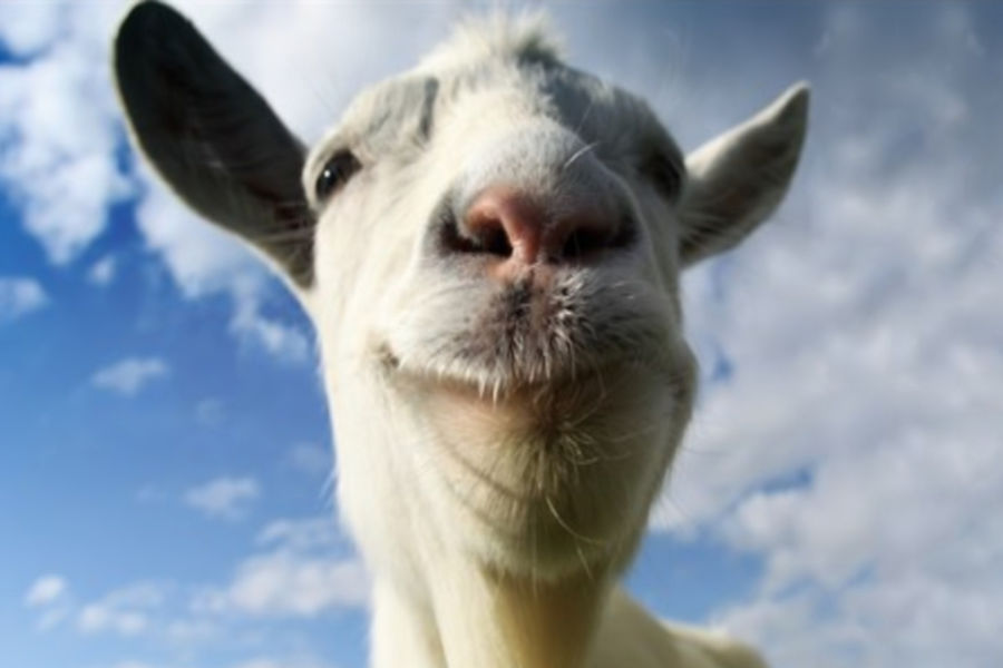 Goat Simulator